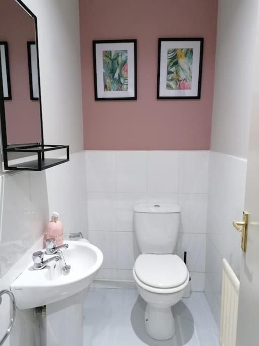 Stunning 3 Bedroom Townhouse In The Heart Of City Белфаст Екстериор снимка